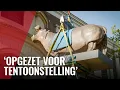 Iconisch nijlpaard Tanja keert voor even terug in Artis