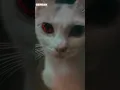 Download Lagu Dengan Kereta Malam