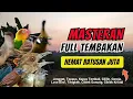 Download Lagu Masteran Kombinasi Tembakan Kasar Untuk Semua Jenis Burung Lomba