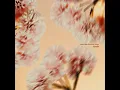 Human (Chill Mix) - Alex Adair & Richard Judge
