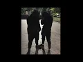 Download Lagu [FREE] - DARK Pop Smoke Sad Drill Type Beat - [prod. LVCK]