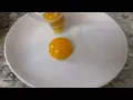 Making Real Green Eggs and Ham - Science Minute
