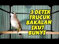 Download Lagu Trucukan mana YANG GAK NYAUT dan IKUT TARUNG dengan trucukan GACOR ini