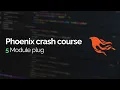 Phoenix crash course Module plug