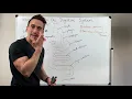 Overview of the Digestive System