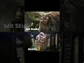 Download Lagu Connie's Mom, MAPPA vs Wit Studio #anime #shorts  #aot