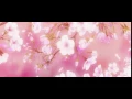 More Anime Cherry blossoms gifs