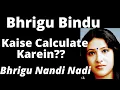 What is Bhrigu Bindu How to Calculate it Bhrigu Nandi River Astrology