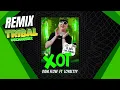 🥃 XOT - Dani Flow, Loyaltty - TRIBAL REMIX