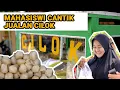 Download Lagu STREET FOOD VIRAL ! PEDAGANG CILOK MAHASISWI CANTIK OMSETNYA WOW, CILOK KACANG TEGAL