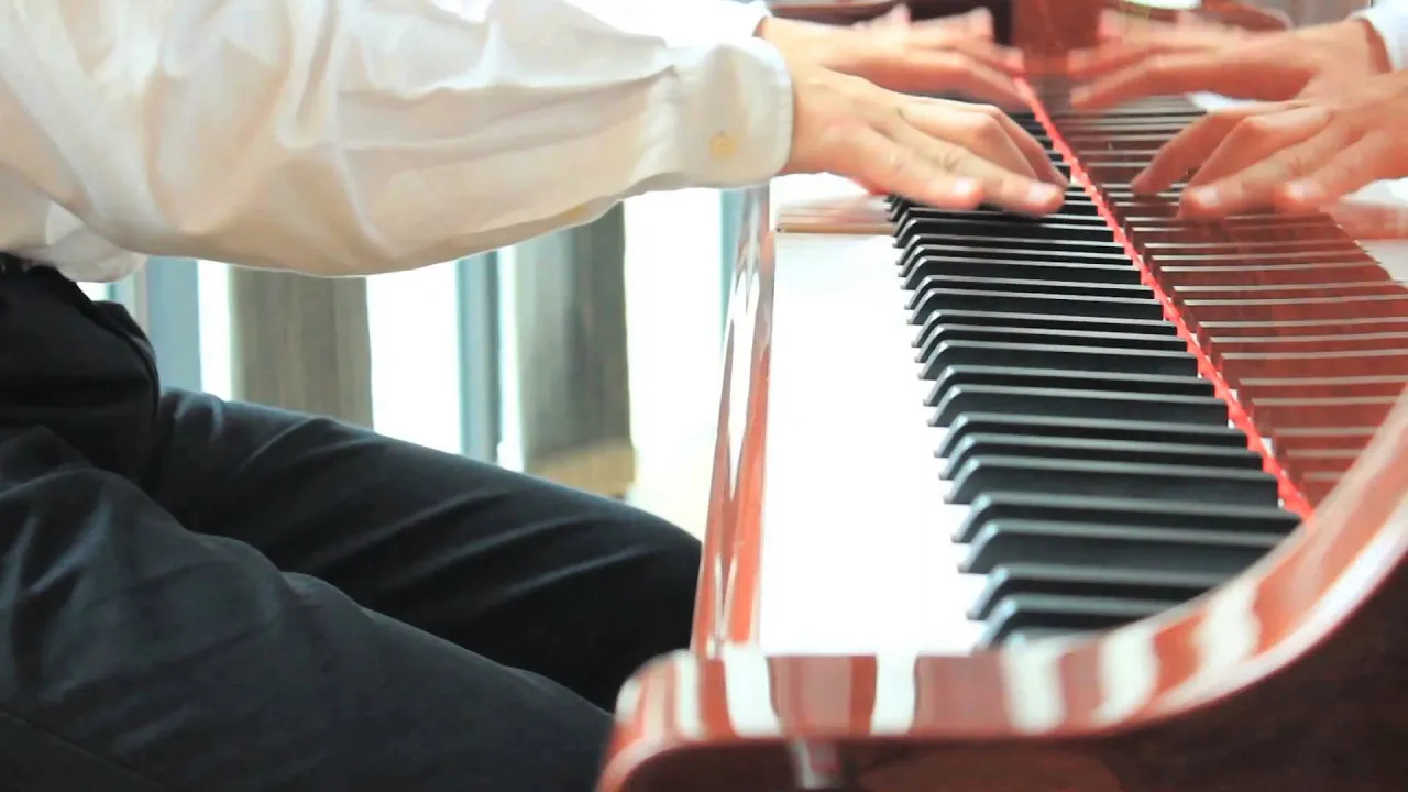 アニメ ワンピース より ウィーアー ピアノ Piano We Are From One Piece Musian