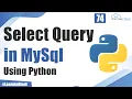 What is Select Query in MySql Using Python Python Tutorial