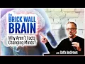 The Brick Wall Brain: Why Aren't Facts Changing Minds?