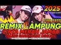 Download Lagu REMIX LAMPUNG TERBARU CINTA MERAH JAMBU YANG LAGI VIRAL 2025 FULL BASS FULL LEPAS