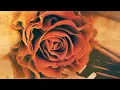 Piano Sonata No. 14 in C-sharp Minor, Op. 27, No. 2 "Moonlight Sonata": I. Adagio sostenuto