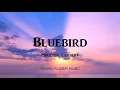 Miranda Lambert - Bluebird (Lyrics) - Wildcard (2019)