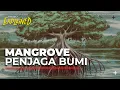 Mangrove Solusi Alami Hadapi Krisis Iklim | Explained
