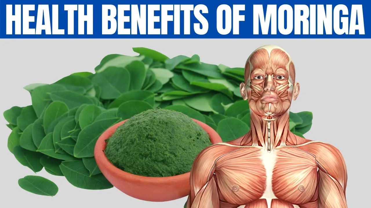 MORINGA BENEFITS - 16 Amazing Health Benefits of Moringa You Should Know!