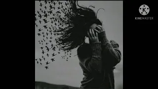 تصميمي اغنية عصفورة يجمالو عليكي سنيورة  تصميمي اغنية عصفورة يجمالو عليكي سنيورة