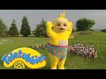 Teletubbies Laa-Laa Wears Funny Underpants Classic Full Episode