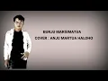 Lagu Lagu batak  BURJU MARSIMATUA By. Trio Amigos \