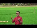 YANG PERTAMA KALI PANCE PONDAAG - HARRY PARINTANG ( COVER ) LIPSING VIDEO A.SYURIANTA,HF