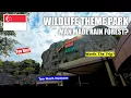 Download Lagu Regenwoud Wild Azië in Singapore