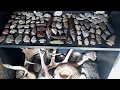 Arrowhead hunting Missouri