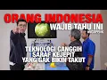 Download Lagu #ngopenk ORANG INDONESIA WAJIB TAHU INI. Teknologi canggih saraf kejepit yang gak bikin takut