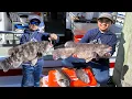 Big Mohawk Fishing Epic Tautog Catch PB Double Digit Triumph