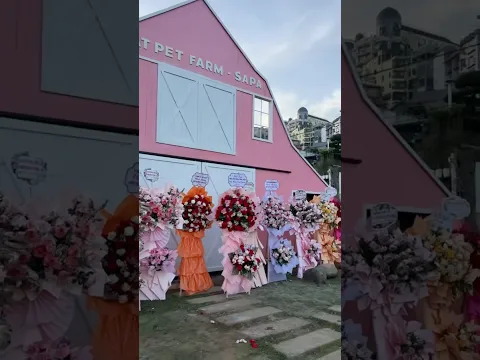 Tưng Bừng Khai Chương - Mật Pet Farm Sapa