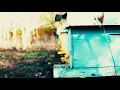 Rodrigo Gallardo - Gracias a la mañana (Videoclip oficial)