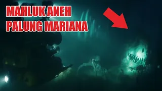 Download Ternyata Sosok Ini Penghuni Laut Terdalam Misteri Dan Fakta Palung Mariana MP3