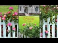 Download Lagu Finding Cupid, a clean romance audiobook, FREE narrated by JenniferJill Araya #freeromanceaudiobook