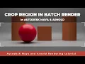 Batch render with crop region in Arnold render for Maya tutorial