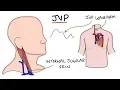 Download Lagu Understanding Jugular Venous Pressure (JVP)