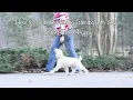 Continuing the Heeling Training with Your Summer Brook Puppy