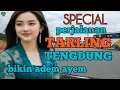 Download Lagu TARLING TENGDUNG_PERJALANAN SPECIAL MENIMATI TARLINGAN INDRAMAYU BIKIN ADEM @toyobringin3238