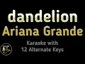 Download Lagu Ariana Grande - dandelion Karaoke Instrumental Lower Higher Male \u0026 Original Key