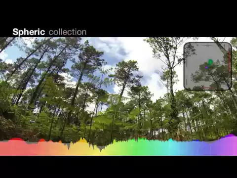 Countryside Birds Ambisonics sound effects library
