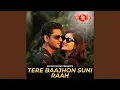 Download Lagu Tere Baajhon Suni Raah