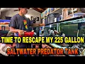 Download Lagu Time to RESCAPE my 225 gallon SALTWATER PREDATOR TANK!