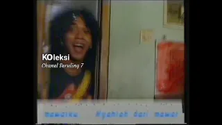 slank f13 mawar merah hd quality 