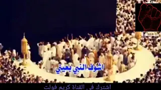 مكتوب على جبينى اشوف النبى بعينى دندنها