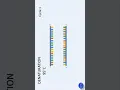 Download Lagu Sanger sequencing #shorts