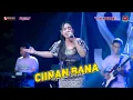 Download Lagu CIINAN BANA - AYUNDA PASHA - OM SAVANA SAKJOSE - THE WEDDING ( NICHOLAS ADITYA  \u0026 DEVI HERLIANTI )