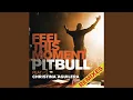 Download Lagu Feel This Moment (Riddler \u0026 Reid Stefan Radio Mix)