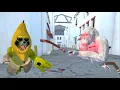 Download Lagu TROLLING People With BOOMERANGS In ANIMAL COMPANY VR