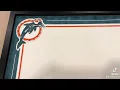 Dan the Man 20x24 Frame Dolphins