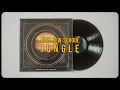 Download Lagu IJO - Voices Of Jupiter - JUNGLE - Vinyl Album